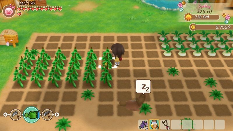 story of seasons friends of mineral town pc