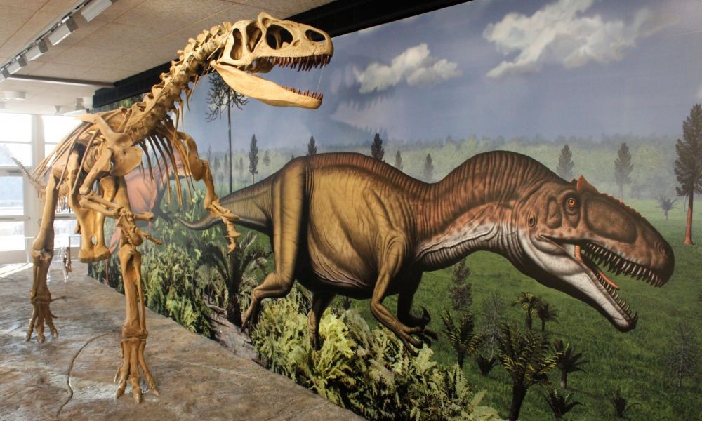 Allosaurus-fragilis-exhibit.jpg