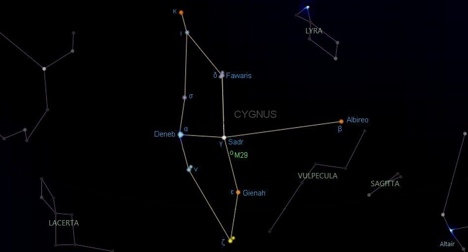 Cygnus.jpg