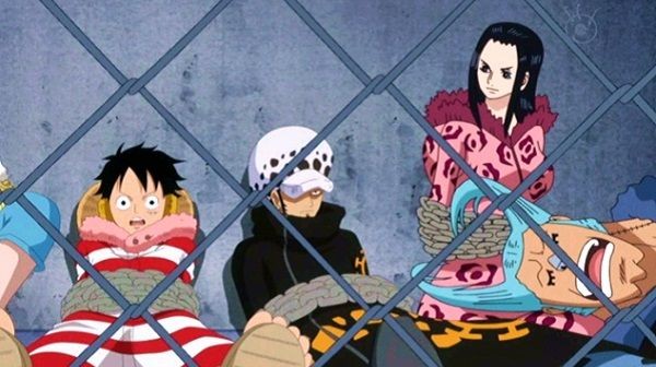 Akankah Franky dan Nico Robin Jadi Pasangan? Ini 5 Petunjuk yang Ada!