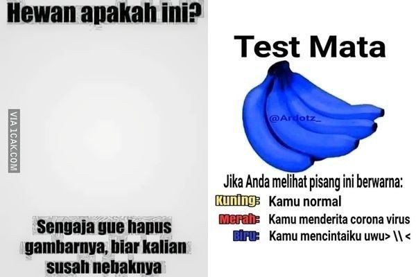 Awas Jebakan! 10 Meme Tes Mata yang Jawabannya Kocak!