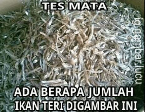 Awas Jebakan! 10 Meme Tes Mata yang Jawabannya Kocak!