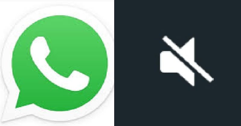Pembaruan Fitur Mute Chat WhatsApp Terbaru Bisa Mute Selamanya!