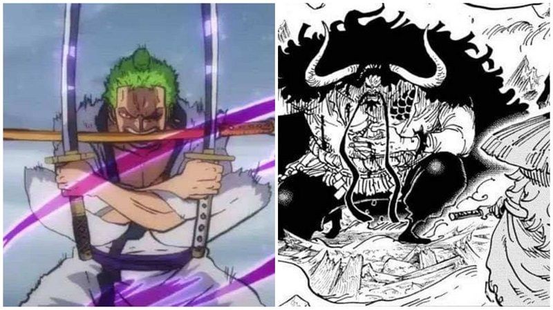 zoro wounded kaido