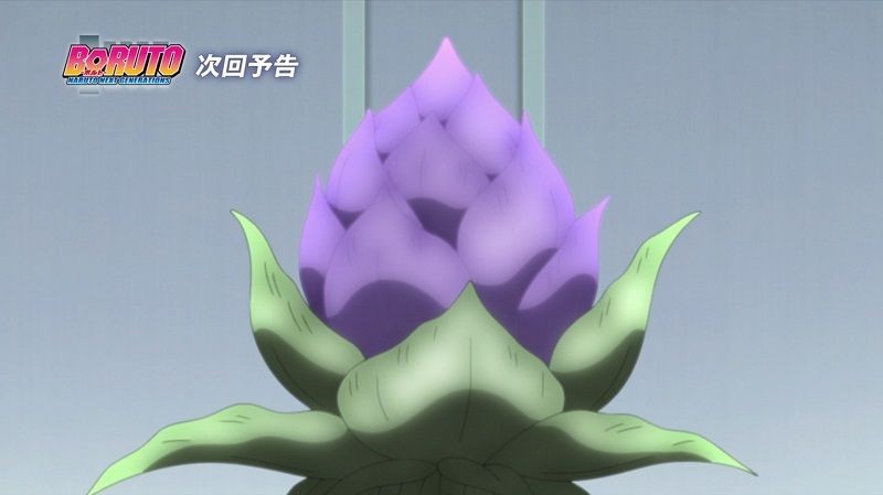 preview boruto episode 174 - chakra fruit.jpg