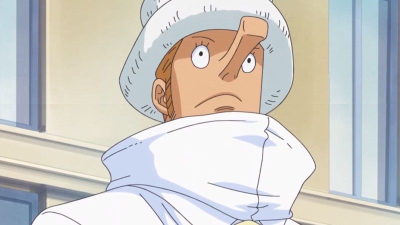 Peringkat 12 Karakter Pemakan Zoan Reguler Terkuat di One Piece