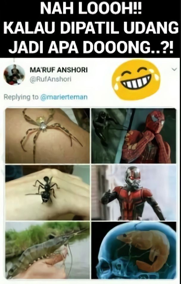 10 Meme Transformasi Superhero yang Gagal! Gak Bisa Jadi Spider-Man?