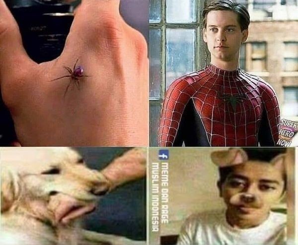 10 Meme Transformasi Superhero yang Gagal! Gak Bisa Jadi Spider-Man?