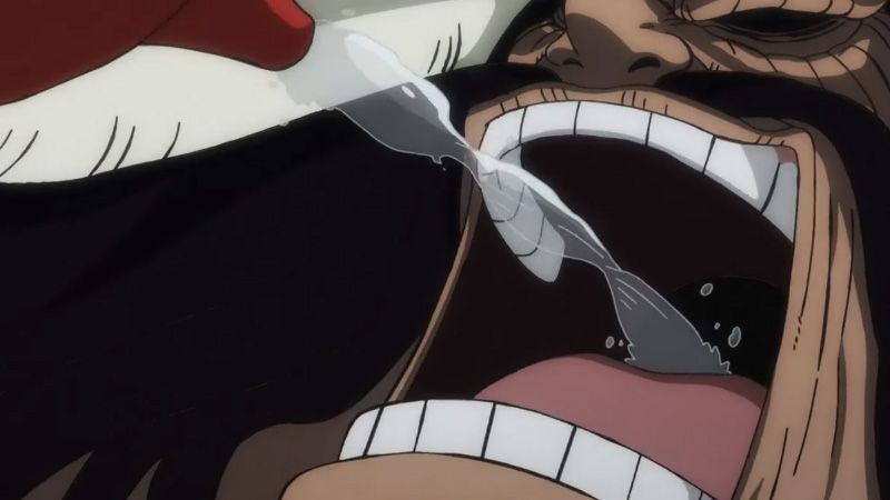 One Piece: 14 Pemakan Buah Iblis dengan Kemampuan Pertahanan Terbaik!