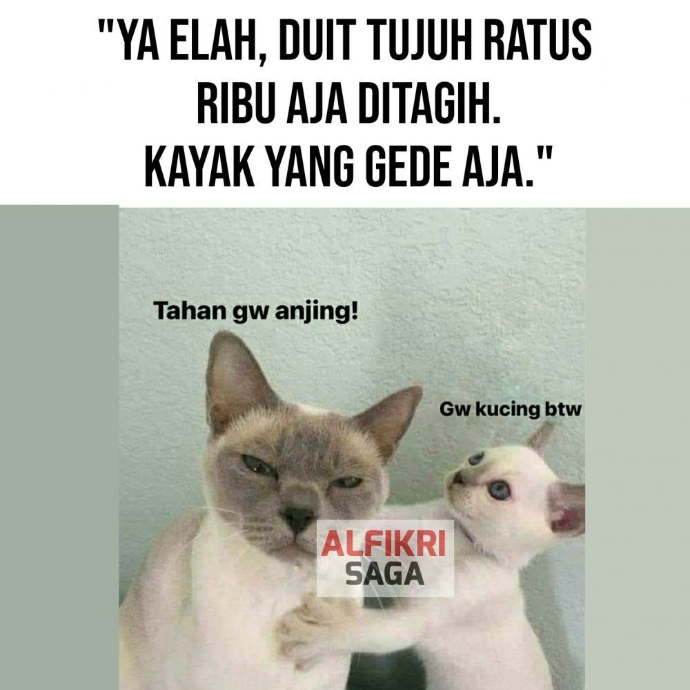 Bikin Jengkel Banget! Ini 9 Meme Drama Menagih Hutang