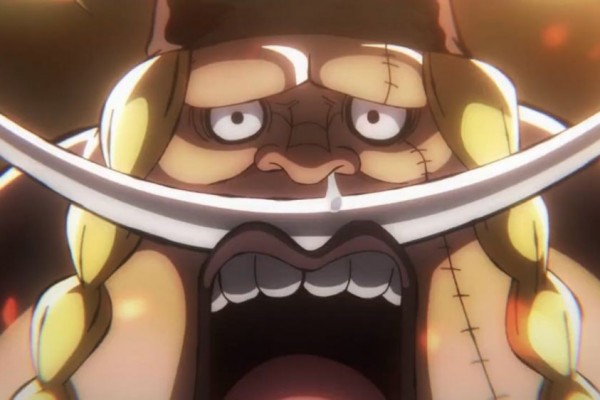 10 Fakta Edward Weevil One Piece, Benarkah Anak Shirohige?