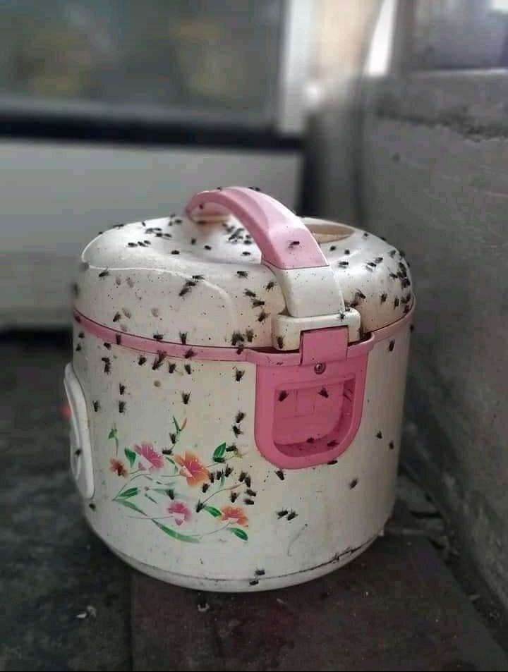 fungsi lain rice cooker