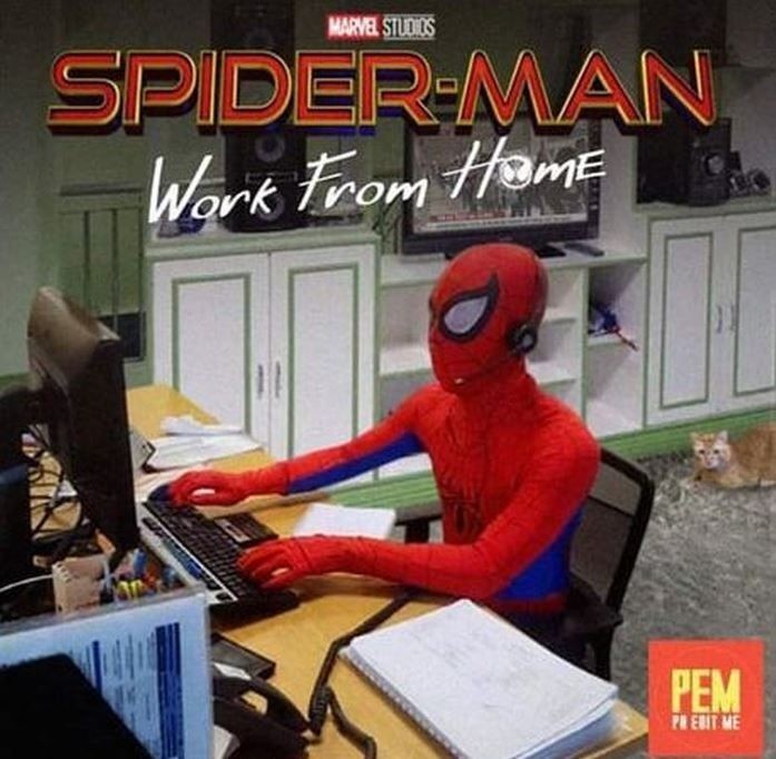 10 Meme Pelesetan Judul Spider-Man No Way Home!