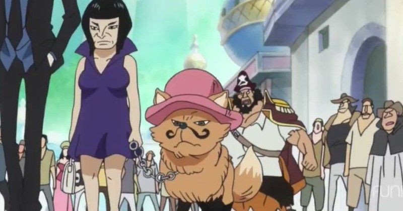 Ini 10 Hewan Peliharaan Bajak Laut di One Piece! Bukan Chopper!