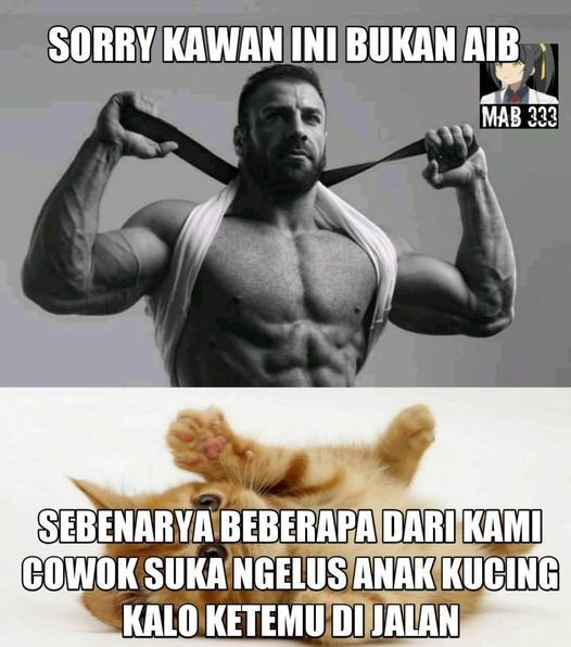 Sorry Kawan? 10 Foto Meme Bongkar Aib yang Terkocak