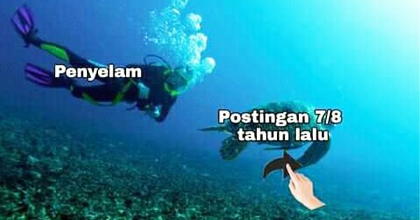 9 Meme Penyelam Facebook Terkocak! Apakah Kamu Termasuk?