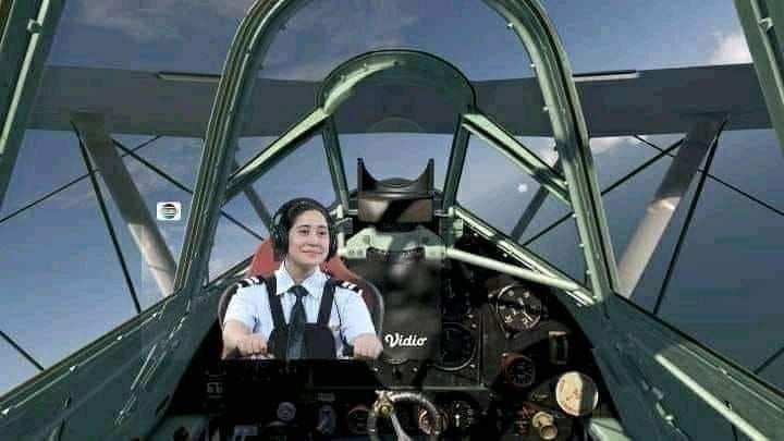 meme pilot greenscreen 2