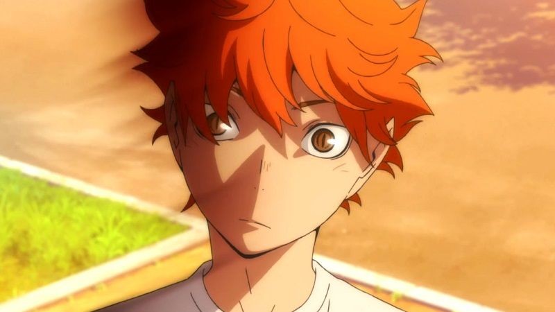 shoyo hinata.jpg