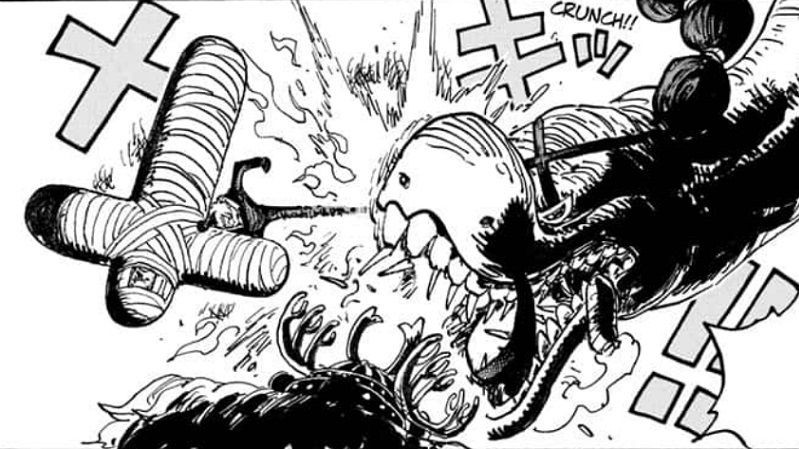 One Piece 1015: Akhirnya, Sanji Akan Melawan Komandan Kelompok Yonko! 