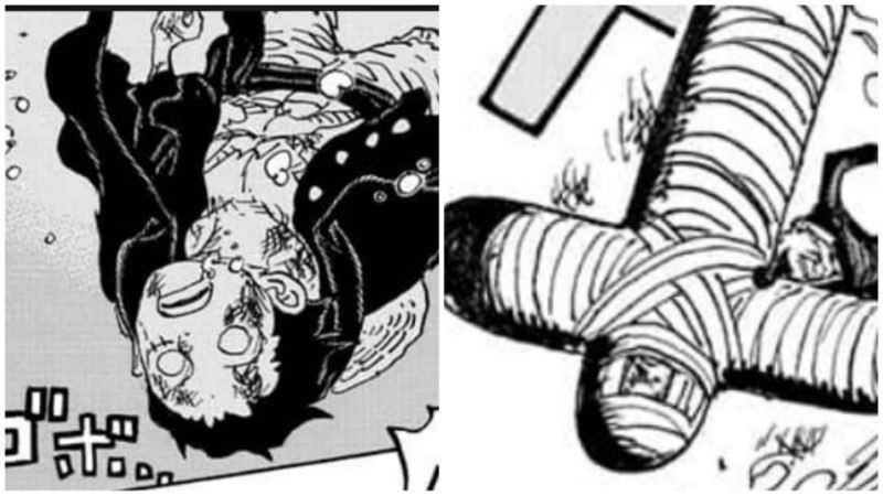 Teori One Piece: Kapan Luffy dan Zoro Bakal Balik Bertarung?