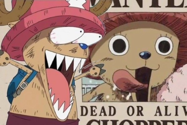 Ini 10 Bounty Terendah untuk Karakter Penting One Piece!