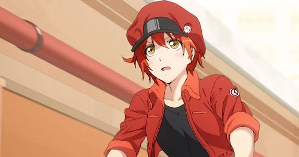 6 Karakter Anime yang Buta Arahnya Parah, Sering Nyasar!