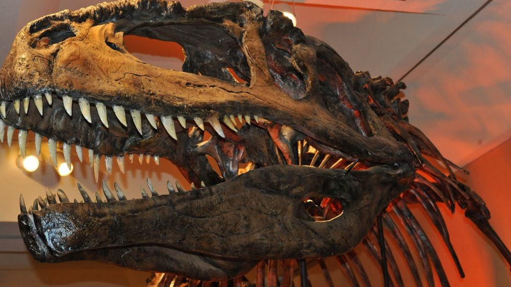 Fakta Giganotosaurus, Dinosaurus Raksasa Utama Jurassic World Dominion