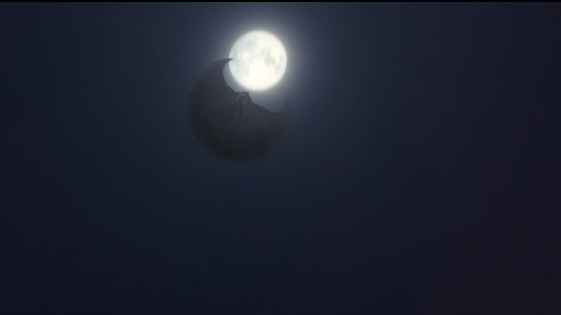 Moon Knight Marc Spector terbang di episode 6. (Dok. Marvel Studio/Moon Knight)