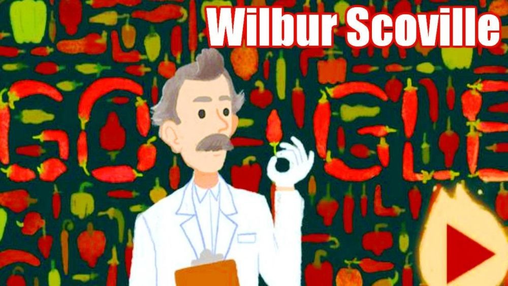 Google Doodle Wilbur Scoville