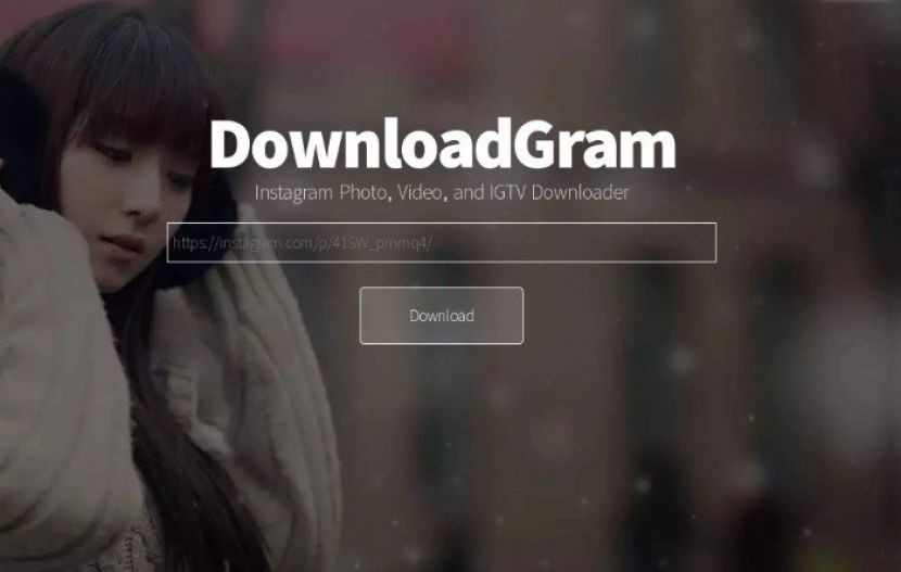 DownloadGram (dok. DownloadGram)