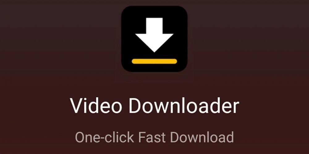 Video Downloader (dok. Play Store/Video Downloader)