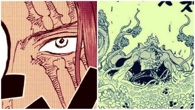 4 Karakter One Piece yang Pernah Memilih Gak Bertarung Melawan Shanks