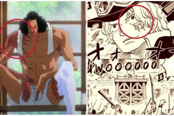 Teori: Siapa Orang dengan Luka Api yang Dimaksud di One Piece 1056?