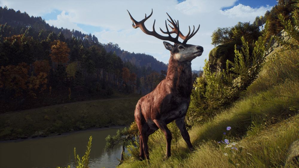 Review Way of the Hunter: Game Berburu yang Realistis 