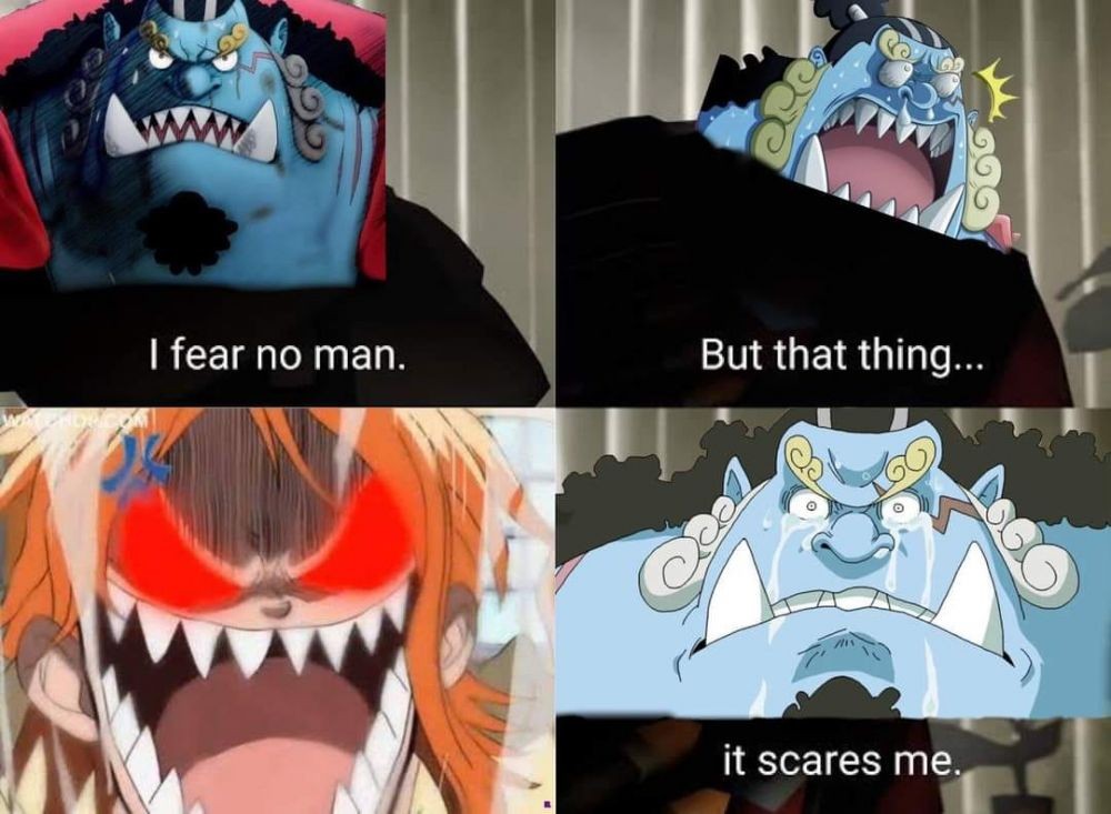11 Meme Jinbe Takut Sama Nami di One Piece Terkocak