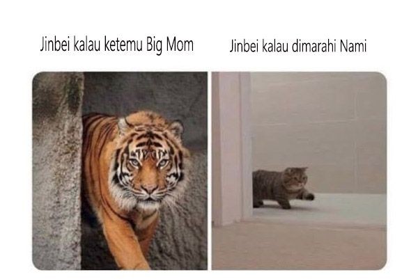 11 Meme Jinbe Takut Sama Nami di One Piece Terkocak