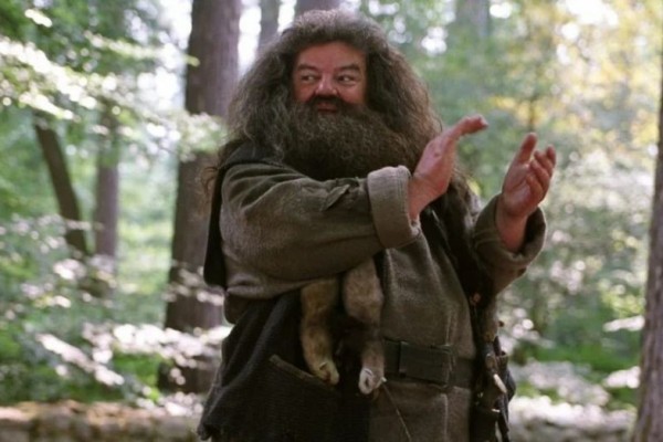 8 Jenis Peliharaan Hagrid Harry Potter, dari Laba-Laba Hingga Centaur!