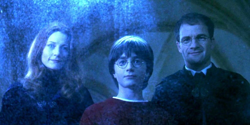 10 Karakter Harry Potter paling Loyal, Kesetiaannya Tidak Diragukan