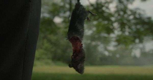 Bangkai tikus yang muncul dalam trailer film