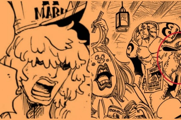 5 Fakta Prince Grus One Piece, Rear Admiral Anggota SWORD!