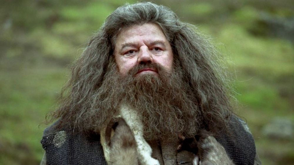 Robbie Coltrane memerankan Hagrid. (Dok. Warner Bros/Harry Potter)