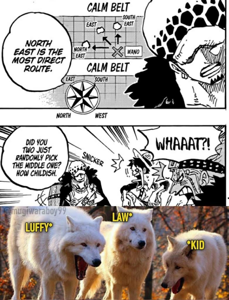 10 Meme Duel Law dan Kurohige One Piece 1063 Terkocak