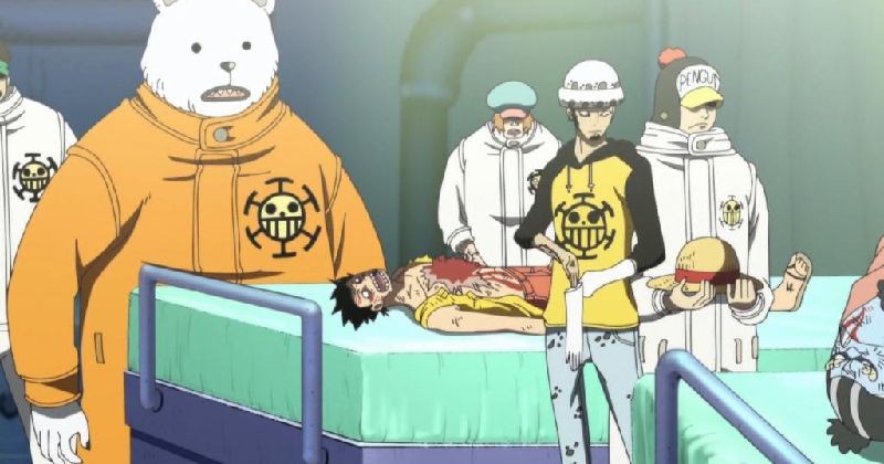 7 Fakta Shachi One Piece, Anak Buah Law yang Jago di Bawah Laut 