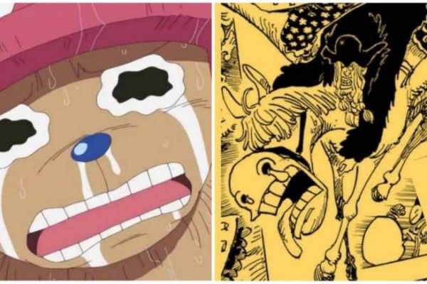 4 Hewan One Piece yang Makan Buah Iblis! Jadi Kuat Sekali!