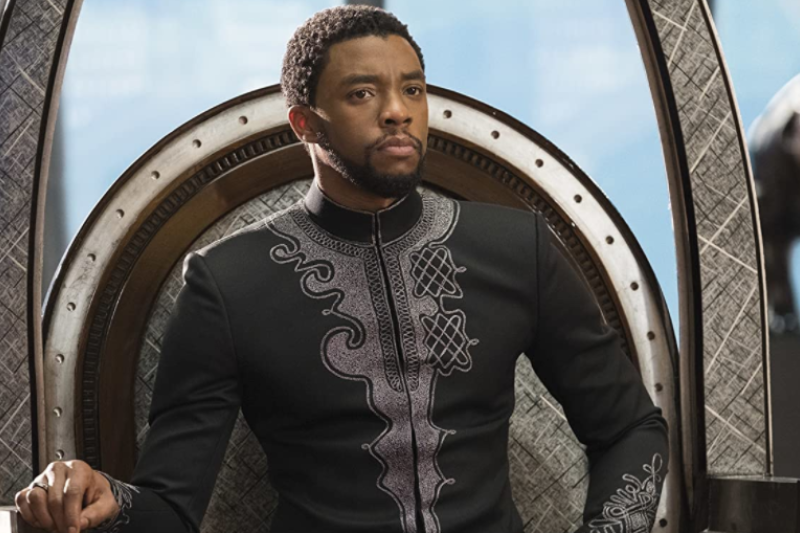 10 Fakta T'Challa Marvel Black Phanter, Sang Raja Wakanda