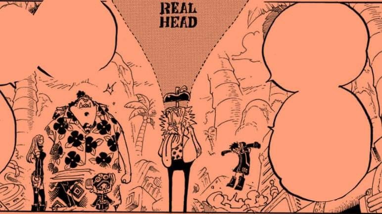 5 Fakta Nomi Nomi no Mi One Piece, Alasan Kepala Vegapunk Besar