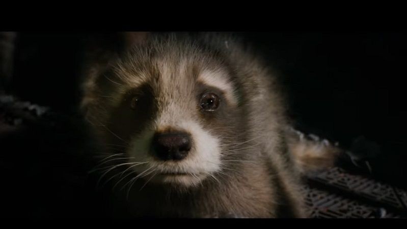 Trailer GOTG volume 3 - rocket.jpg