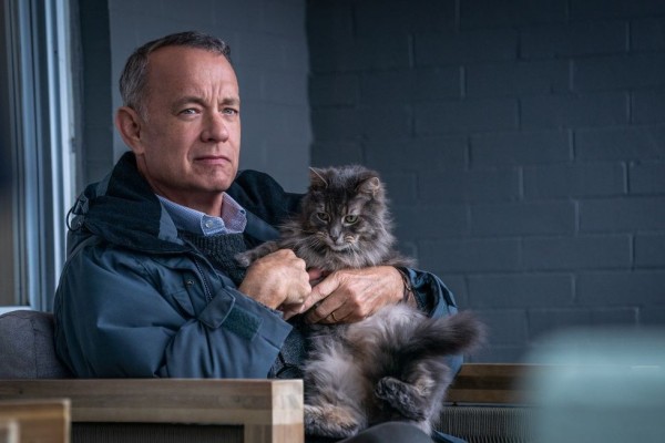 Sinopsis A Man Called Otto, Film Drama Terbaru Tom Hanks