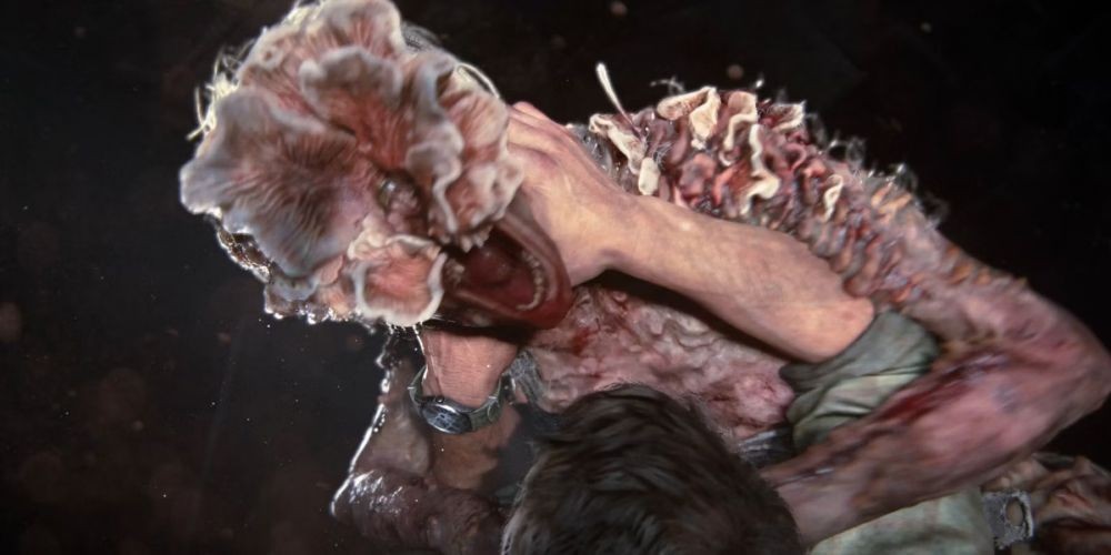 Mengenal Cordyceps, Jamur Mematikan di The Last of Us