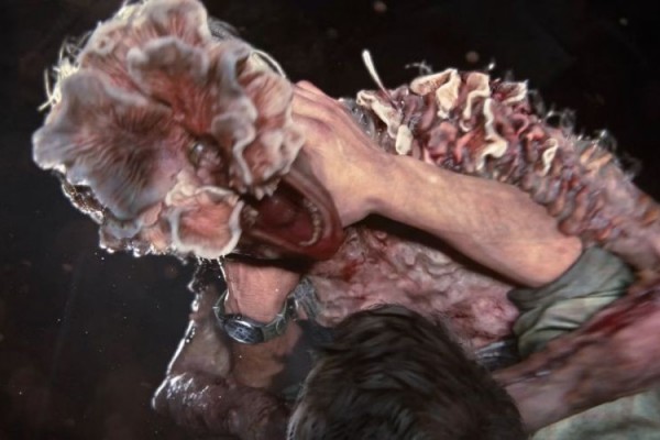 Mengenal Cordyceps, Jamur Mematikan di The Last of Us